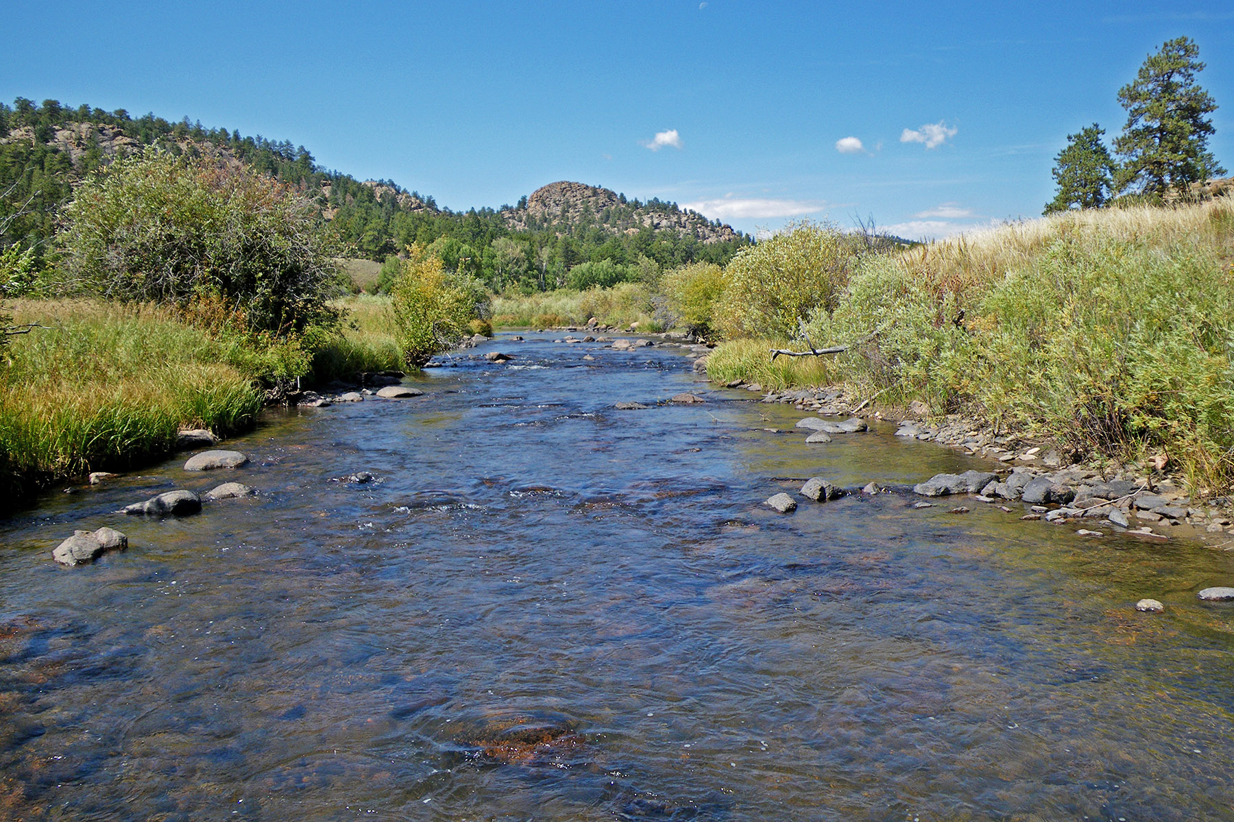 Tarryall Creek Ranch Sold Colorado Hall and Hall